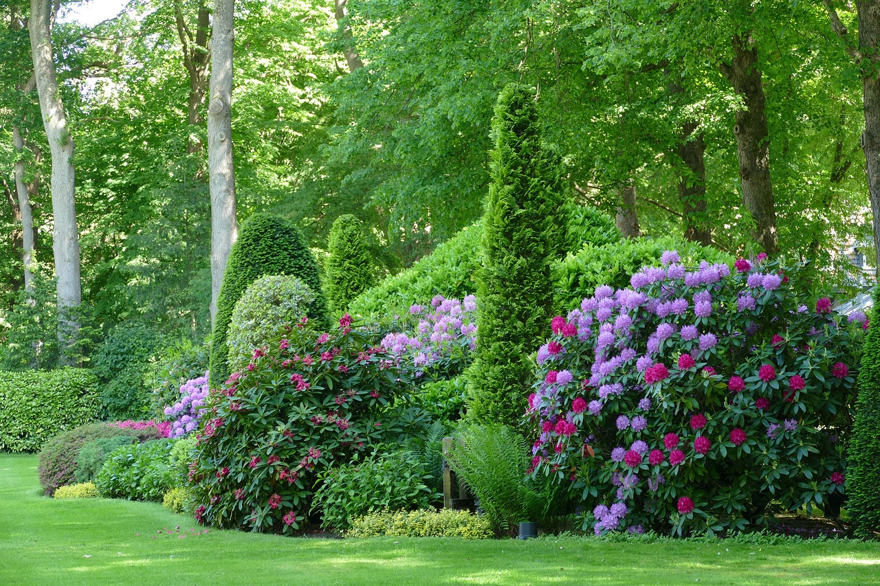 onderhoudsvriendelijke border